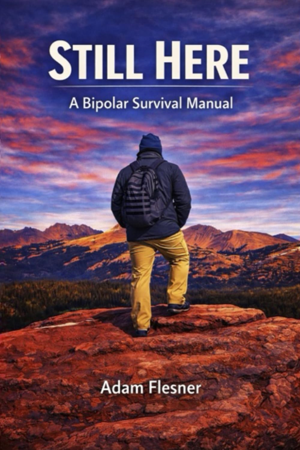 Still Here: A Bipolar Survival Manual