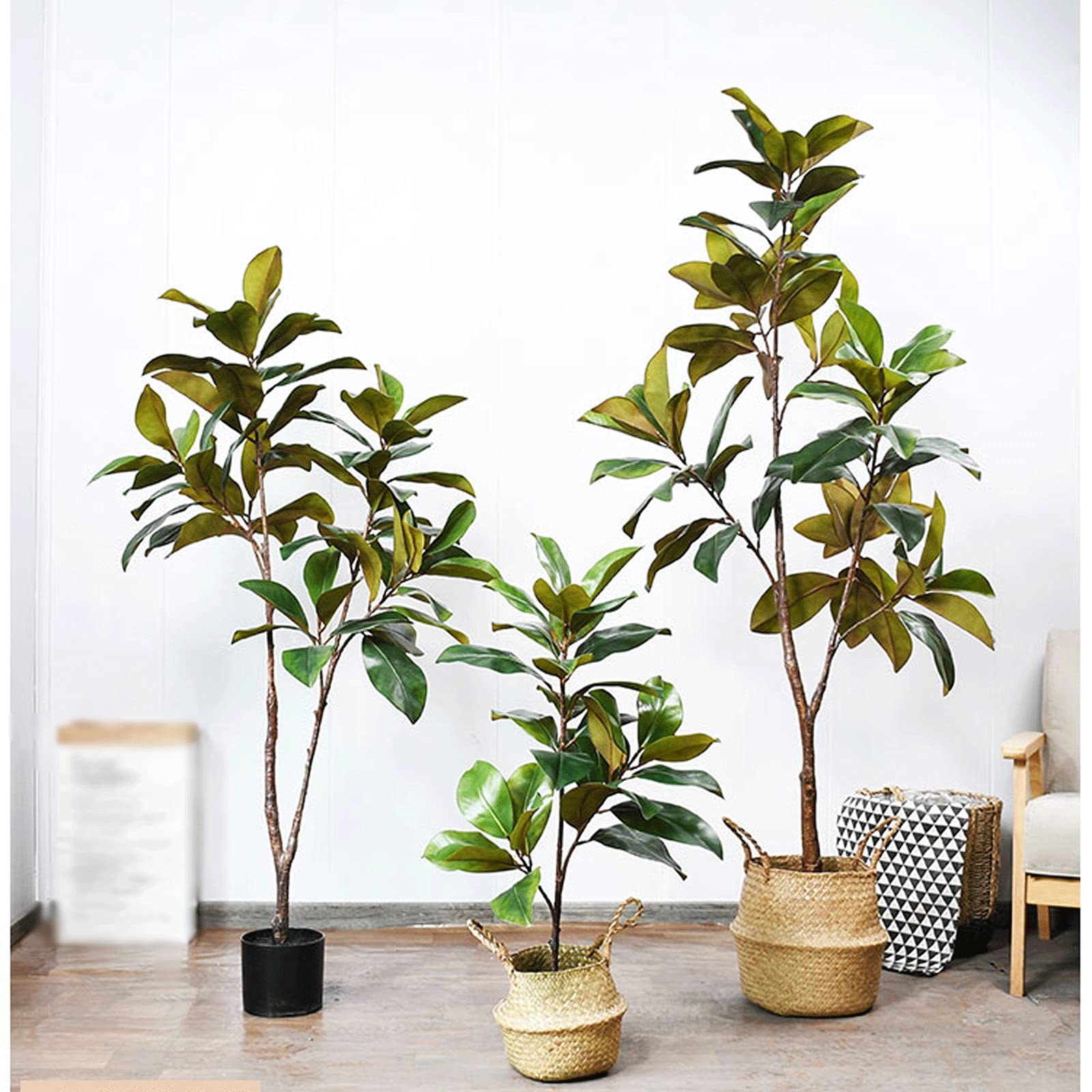 bonsai tree tattoo design Bonsai Temporary Tattoo main image 1