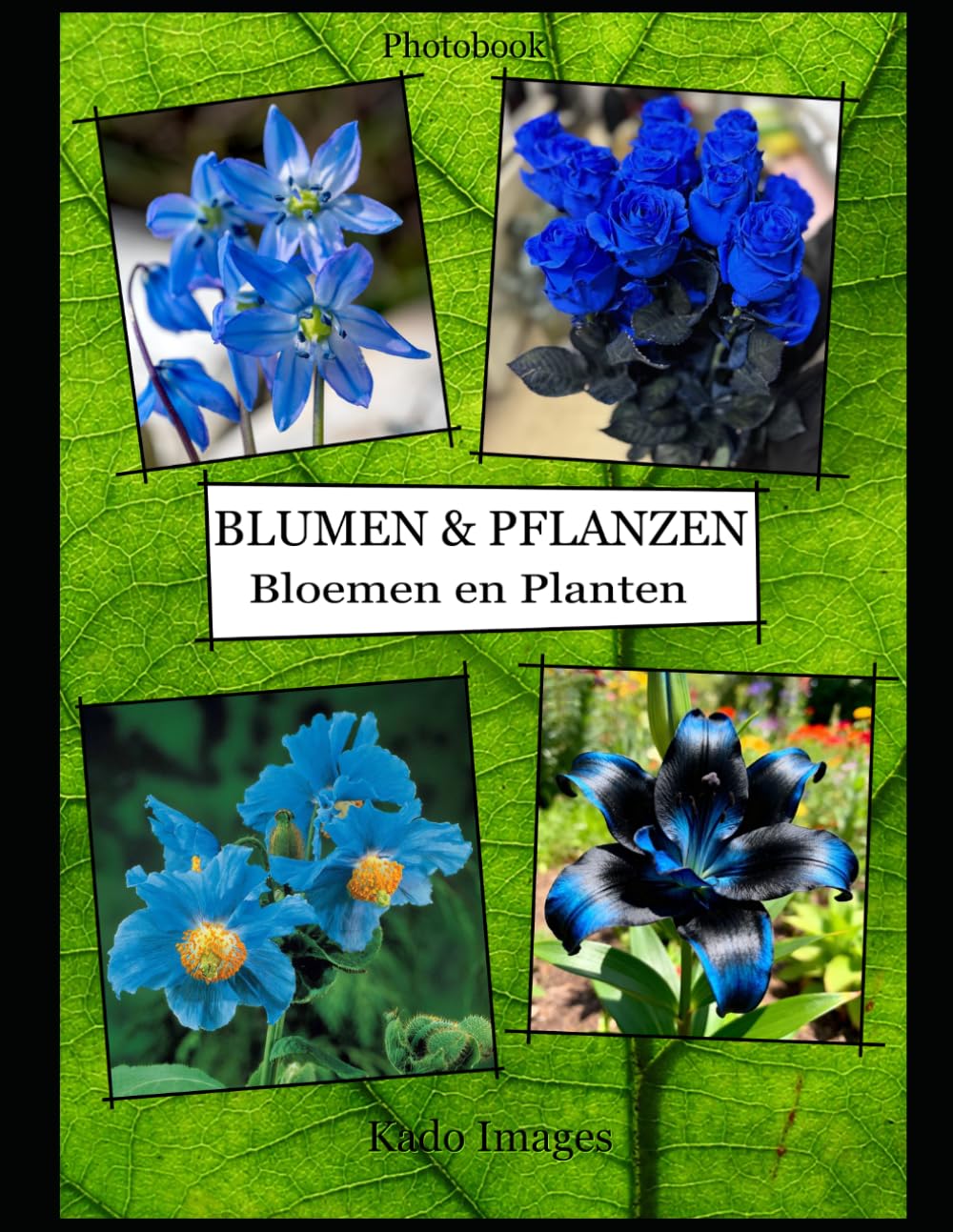 Blumen & Pflanzen: Bloemen en Planten