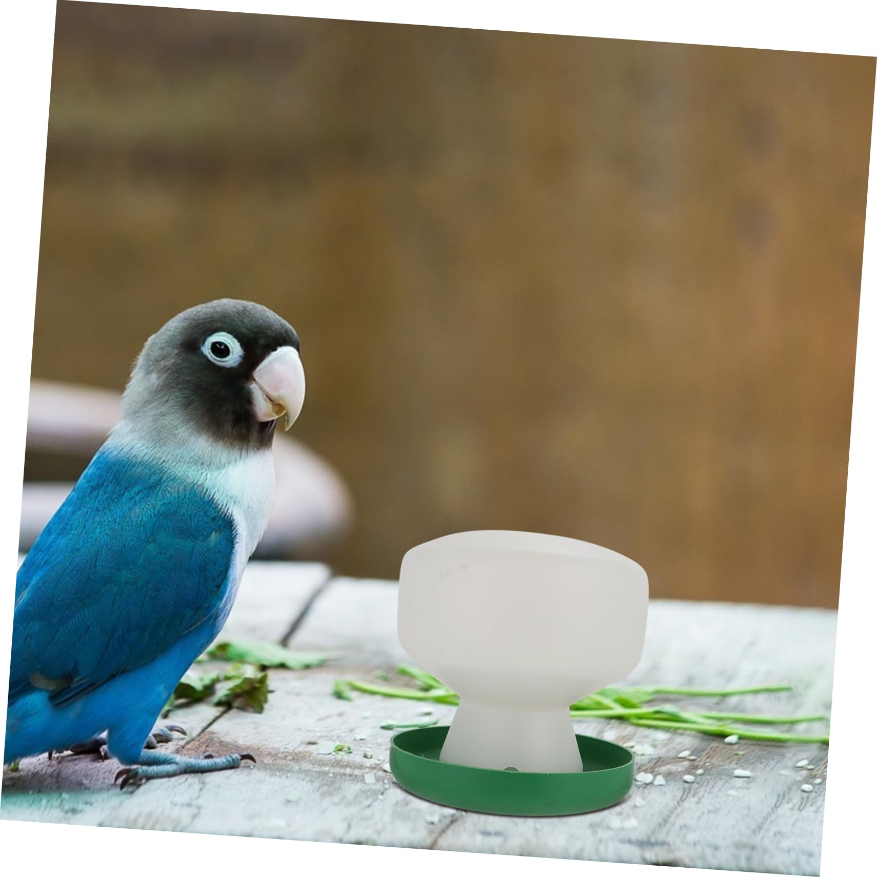 YARNOW 6pezzi Mangiatoia Per Distributore Per Pappagalli e Domestici Accessori Per Gabbie Design Antiribaltamento e Resistente
