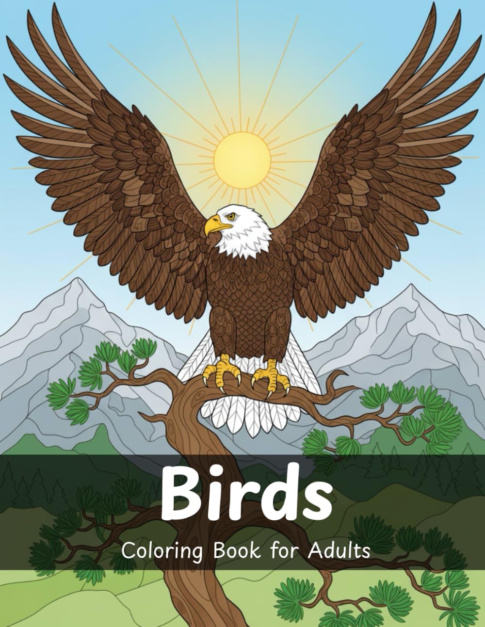 Birds Adult Coloring book: Relaxing Bird Designs and Stress Relief Coloring Pages
