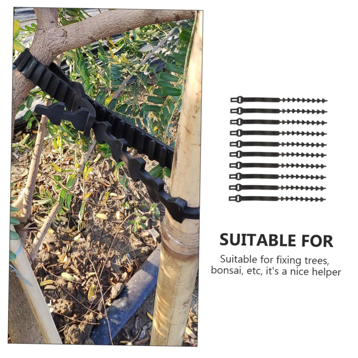 Toyvian Baumbindegürtel 10 Stück aus Gummi Flexibel für Bäume und Bonsai
