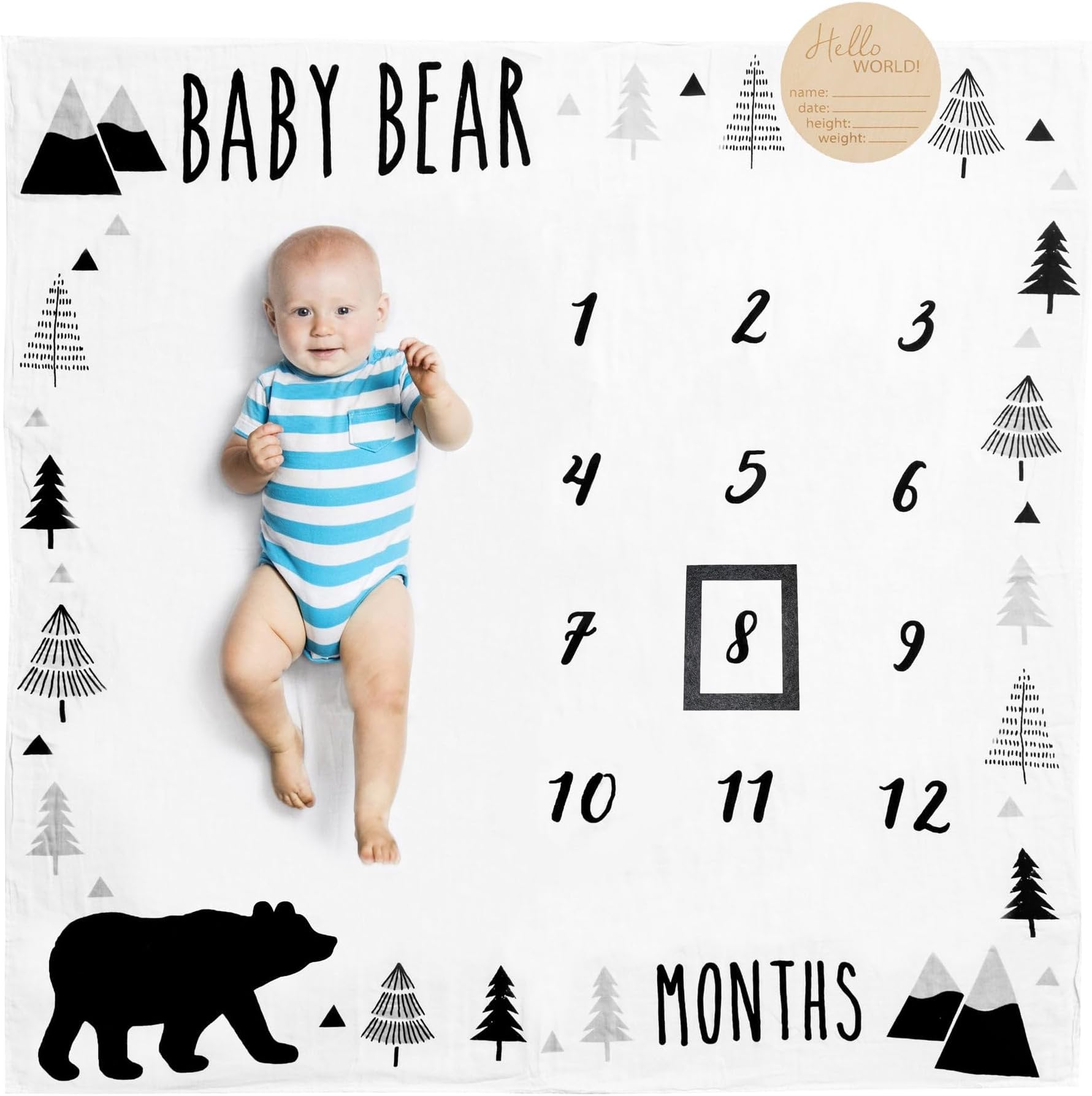 Milestone Blanket Baby Bear