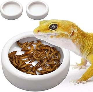 TDPET Ceramic Mini Reptile Worm Dish - Lizard Escape Proof Feeding Bowl Circular