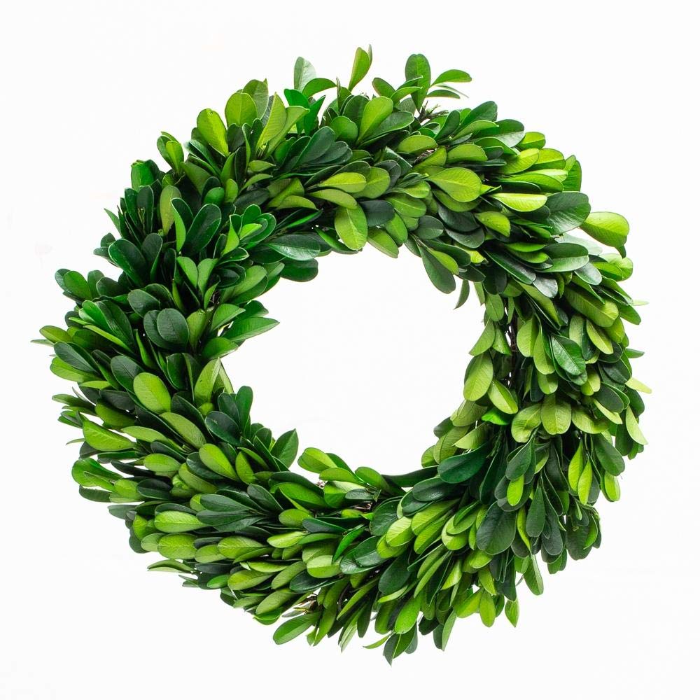 BOXWOOD VALLEY Preserved Boxwood Wreath, 10" Real Boxwood Wreath, Indoor Decor for Weddings, Birthdays, Offices, Club, Green