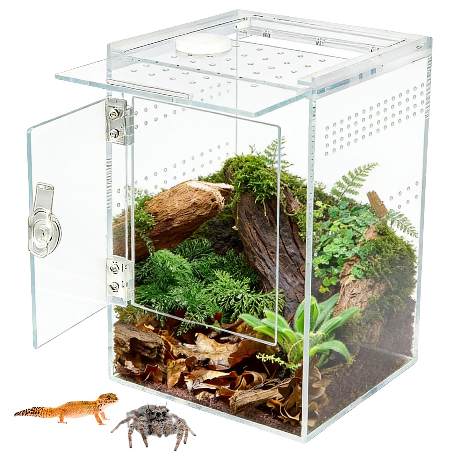 Spinnen Terrarium Acryl, Rechteckiges Vordere Öffnung Terrarium 15x15x23 cm Mit Querlüftung, Wasserdichtes Schnecken Terrarium Für Springspinnen, Geckos, Gottesanbeterin Und Laubfrösche