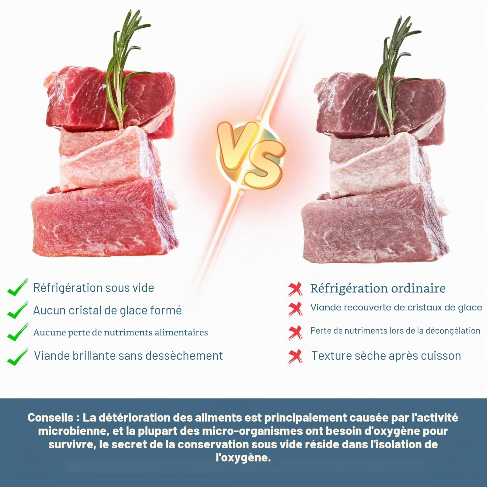 Scelleur alimentaire sous vide avec 10 PCS sacs de scellage Sacs de conservation réutilisables pour la cuisson sous vide, anti-fuite et résistant à l'humidité