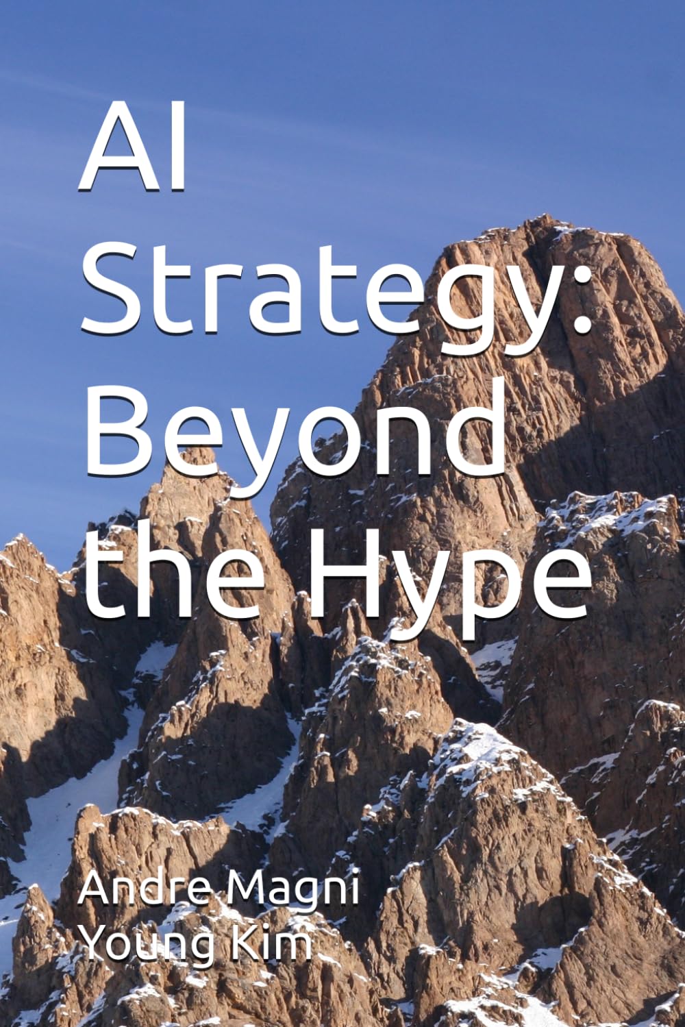 AI Strategy: Beyond the Hype
