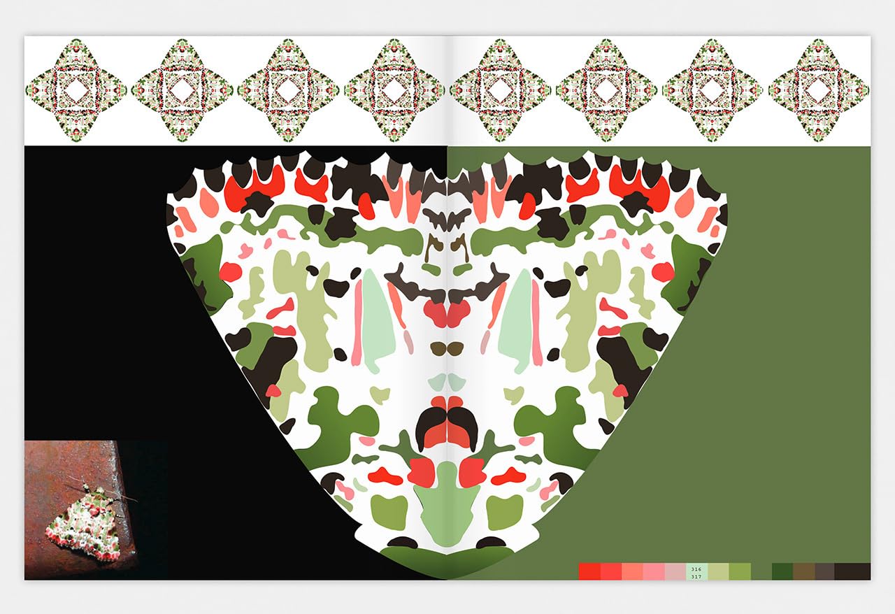 Pachanga. Grafikdesign-Inspirationen aus dem cloud forest.