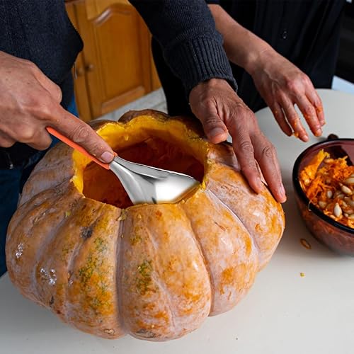 Miniatura 3 de MAGICLULU Cuchara dentada descorazonador de frutas, raspador de frutas, cuchara removedor de núcleo de calabaza, separador de pulpa de calabaza,