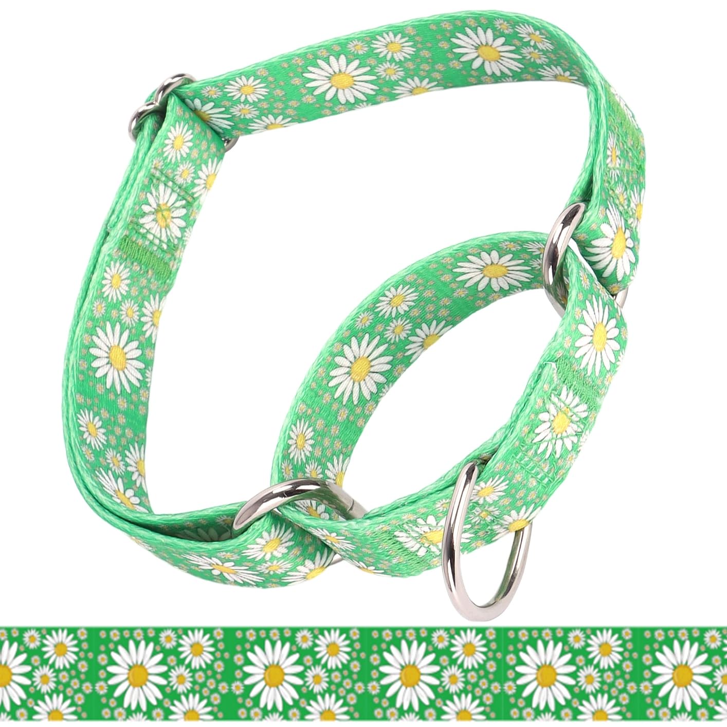 haoyueer Martingale Collar for Dogs, Adjustable Soft Nylon Dog Collars with Design Cute Daisy Design Patterns for Small Medium Large Dog (Green, Large)