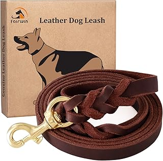 thick braided dog leash