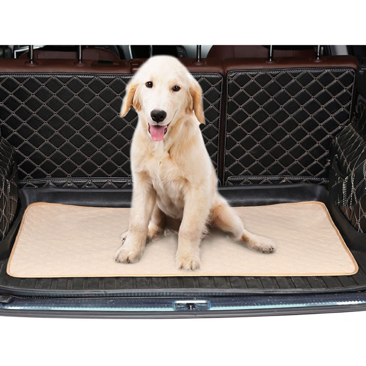Sosoport Tappetino Igienico Assorbente per Cani e Gatti, Lavabile, , Riutilizzabile per Addestramento e Pulizia Quotidiana
