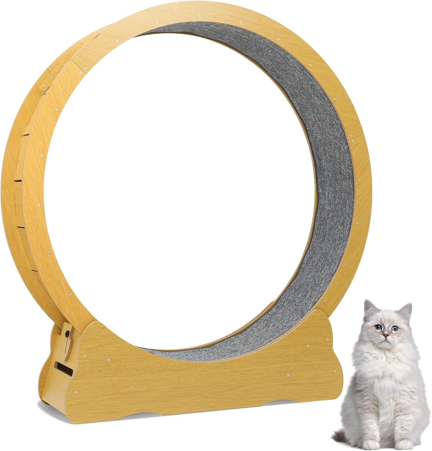 VANZACK Cat Exercise Wheel for Indoor Cats: Quiet Running Treadmill with Scratcher Surface for Weight Loss Easy Assembly, Beige
