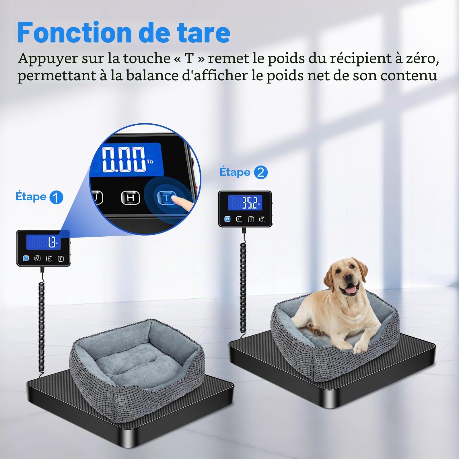 Balance Colis 200kg/10g Haute Précision Acier Inoxydable avec Fonction Hold Tara Écran LCD