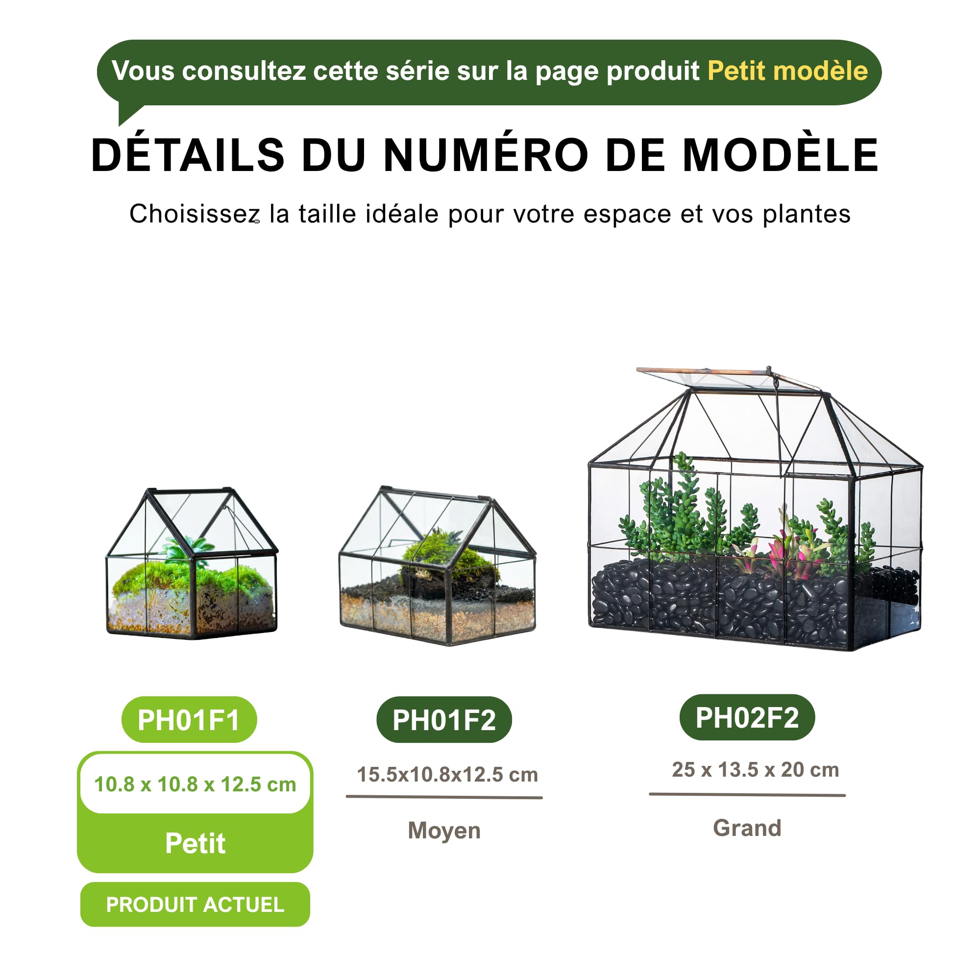NCYP 10,8x10,8x12,5 cm Mini Noir Terrarium Géométrique en verre avec couvercle Fait à la main, Pour petites plantes succulentes, Décoration de table pour la maison jardin bureau (Terrarium Uniquement)