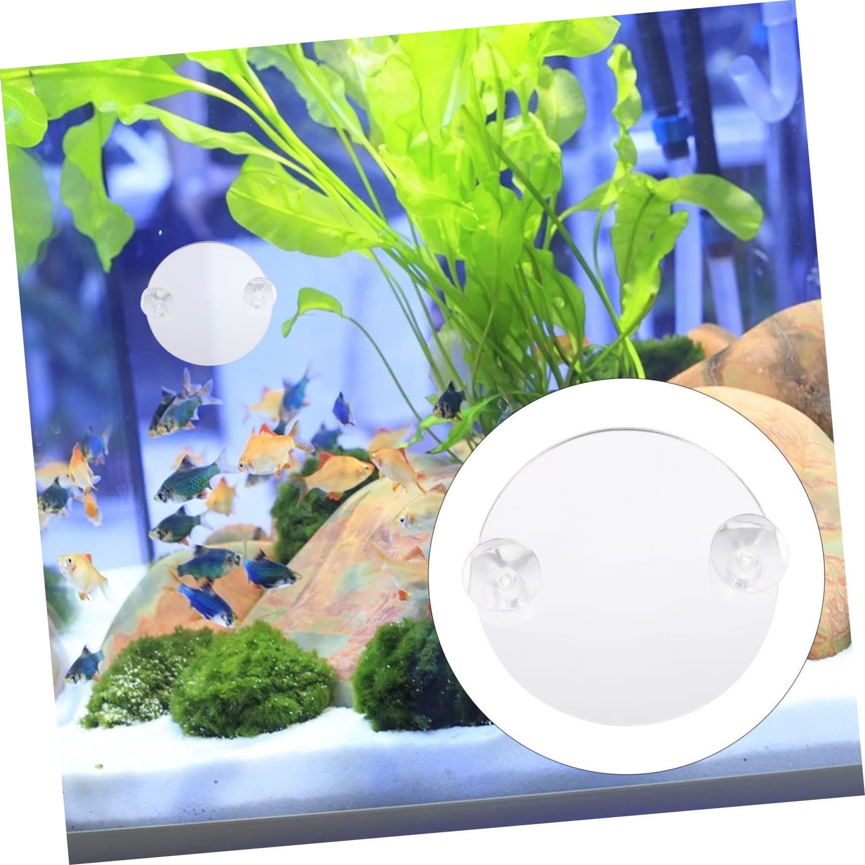 Mipcase 30piezas Espejo De Acuario para Betta Ventosa De Decorativas para Peceras Espejos Entrenadores para Betta Accesorios para Acuarios De Agua Dulce y Salada