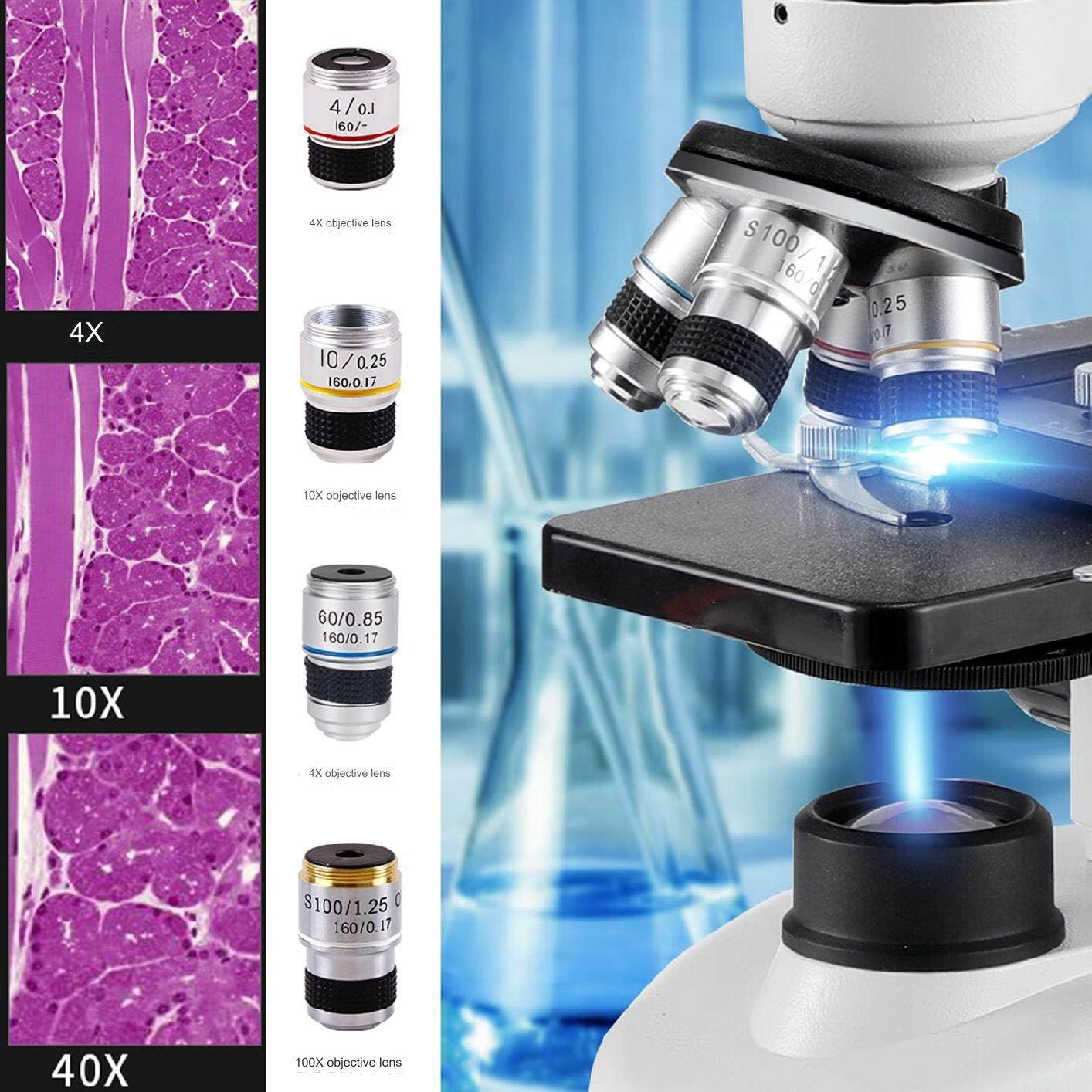 Microscopio professionale a luce composta 5000X con oculare elettronico, obiettivo 4X, 10X, 40X, 100X, microscopio trinoculare aggiornato con supporto per telefono cellulare, calibro, custodia