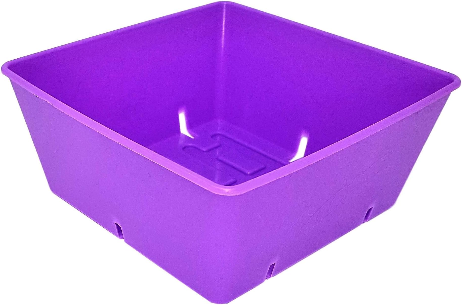 Bootstrap Farmer 5x5 Seed Tray Multi Color 80 Pack