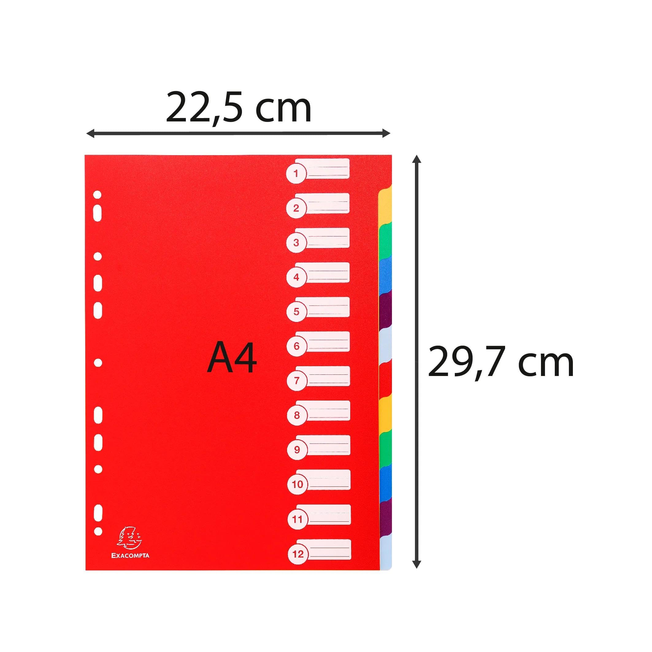 Intercalaires polypropylene semi rigide 35x100e 12 positions - a4