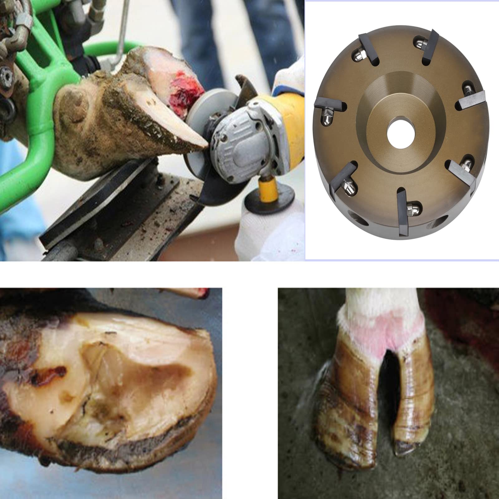 Alicates de Casco Eléctricos, Corte Suave Sin Daños Alta Eficiencia Operativa Ahorro de Tiempo Material Aleación Aluminio para Ovejas Vacas Caballos