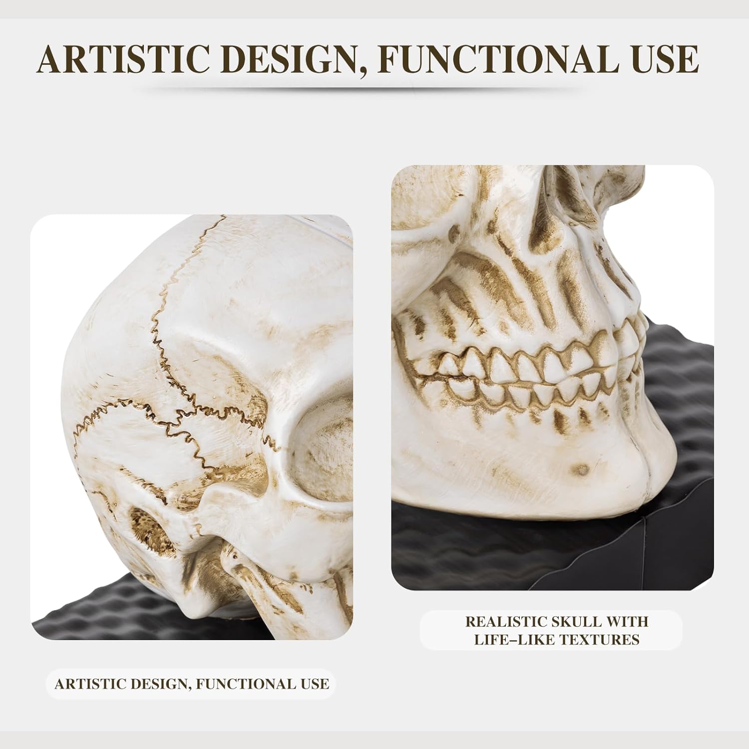 Skull Book Ends, Decorative Bookends for Shelves, Antique Gothic Style Skull Bookend Design Resin Skeleton Human Head Statue Halloween Décor (White)