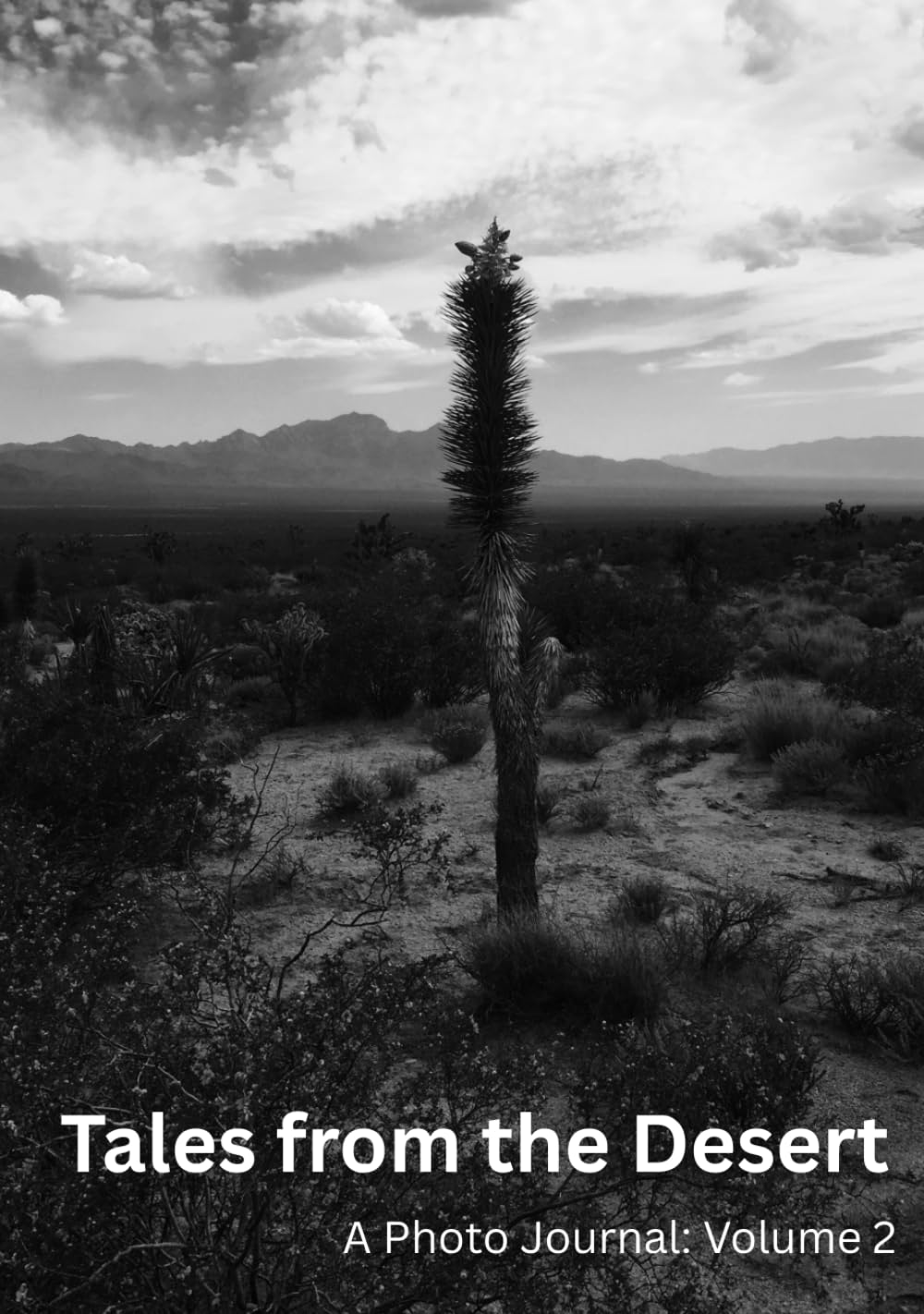 Tales from the Desert: A Photo Journal: Volume 2