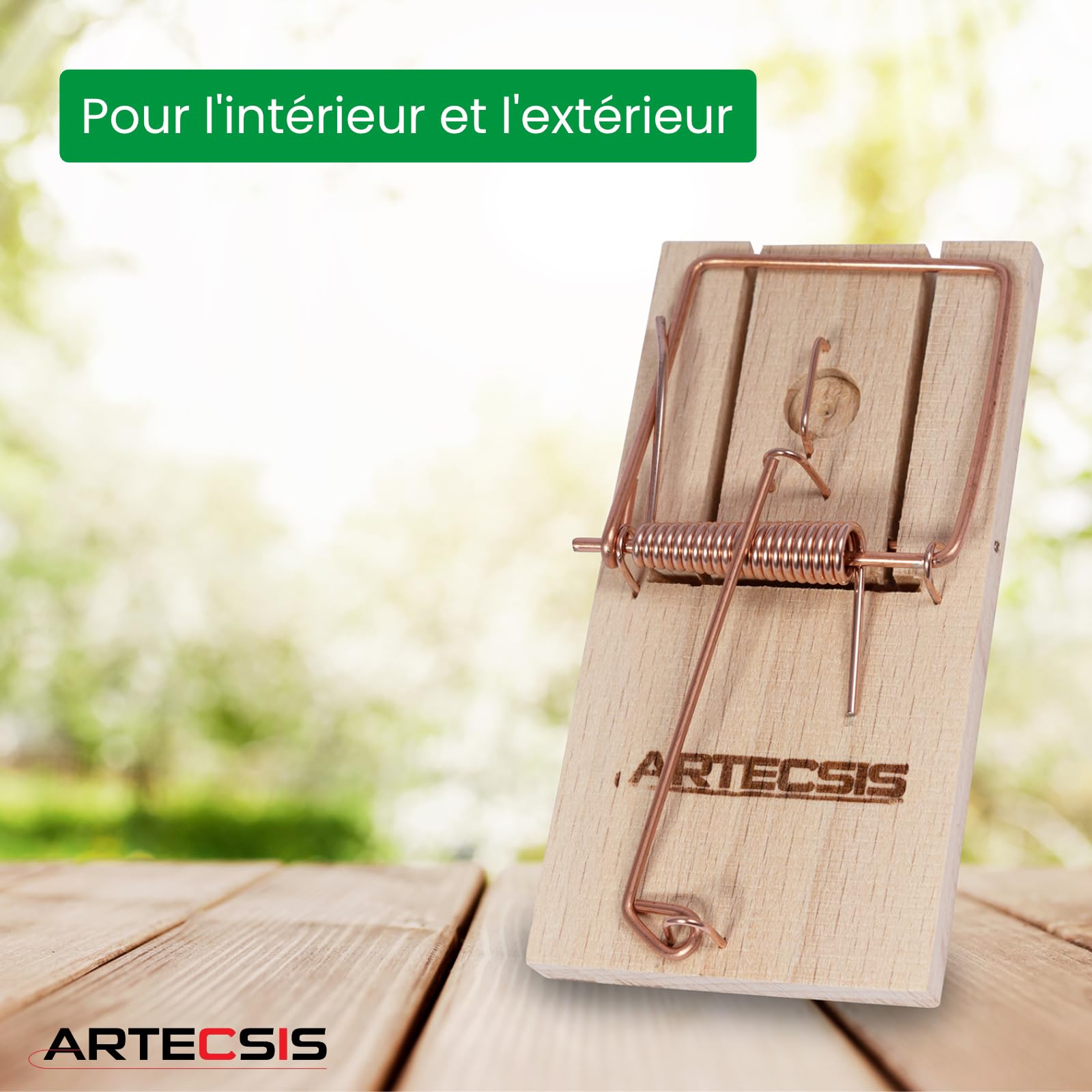 Pièges à Souris Artecsis - Lot De 10 En Bois De Hêtre - 9.5x5x1.5cm | Souricière Réutilisable Sans Poison