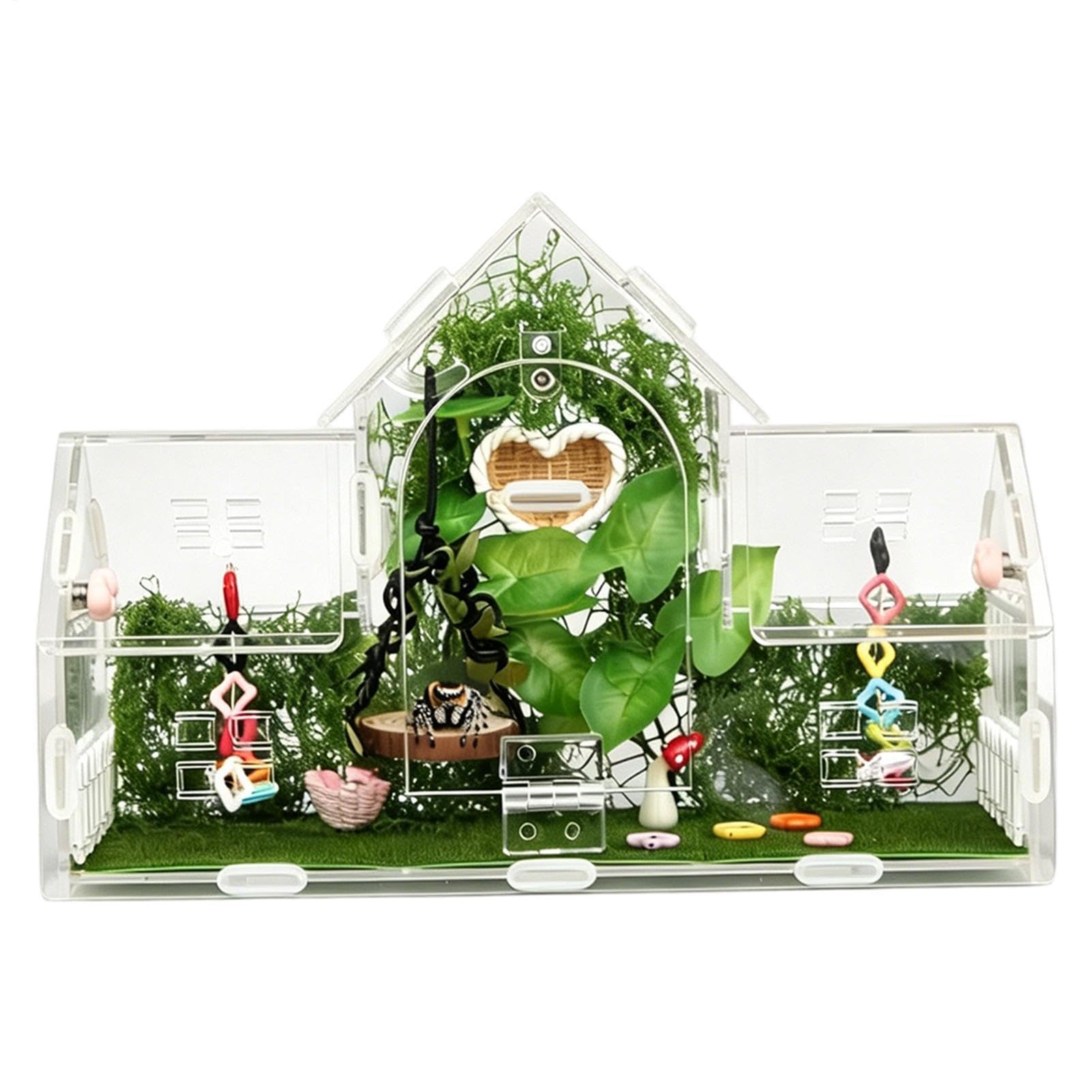 Terrarium für Spinnen und Spinnen mit magnetischer Tür, Acryl, transparent | Habitathaus für Spinnentiere für kleine Reptilien, Schnecken, Mantis, Skorpione, Frösche und Isopoden
