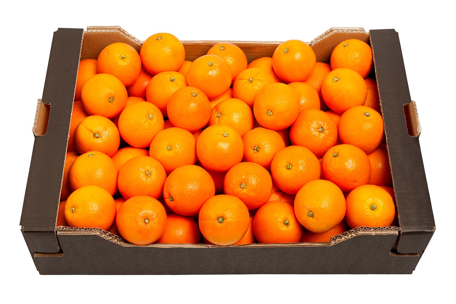 CAJA 20KG DE NARANJAS DE ZUMO. FRUTA FRESCA RECIEN RECOLECTADA…