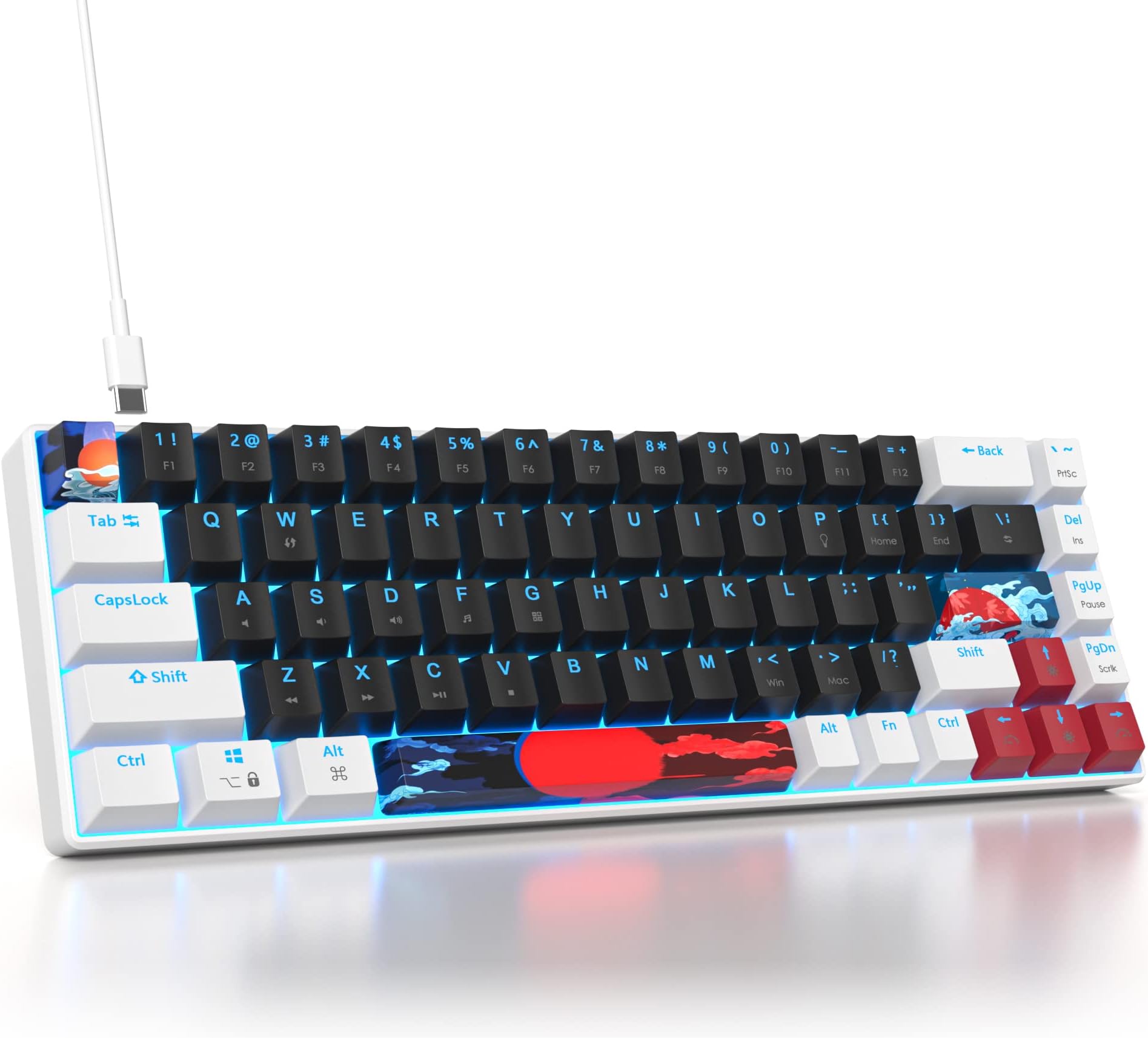 Ussixchare 60 Percent Gaming Keyboard 68 Keys Mechanical Keyboard LED Backlit Compact Wired Keyboard with Red Switch for Windows PS4/5 Xbox Gamer(White-Black)
