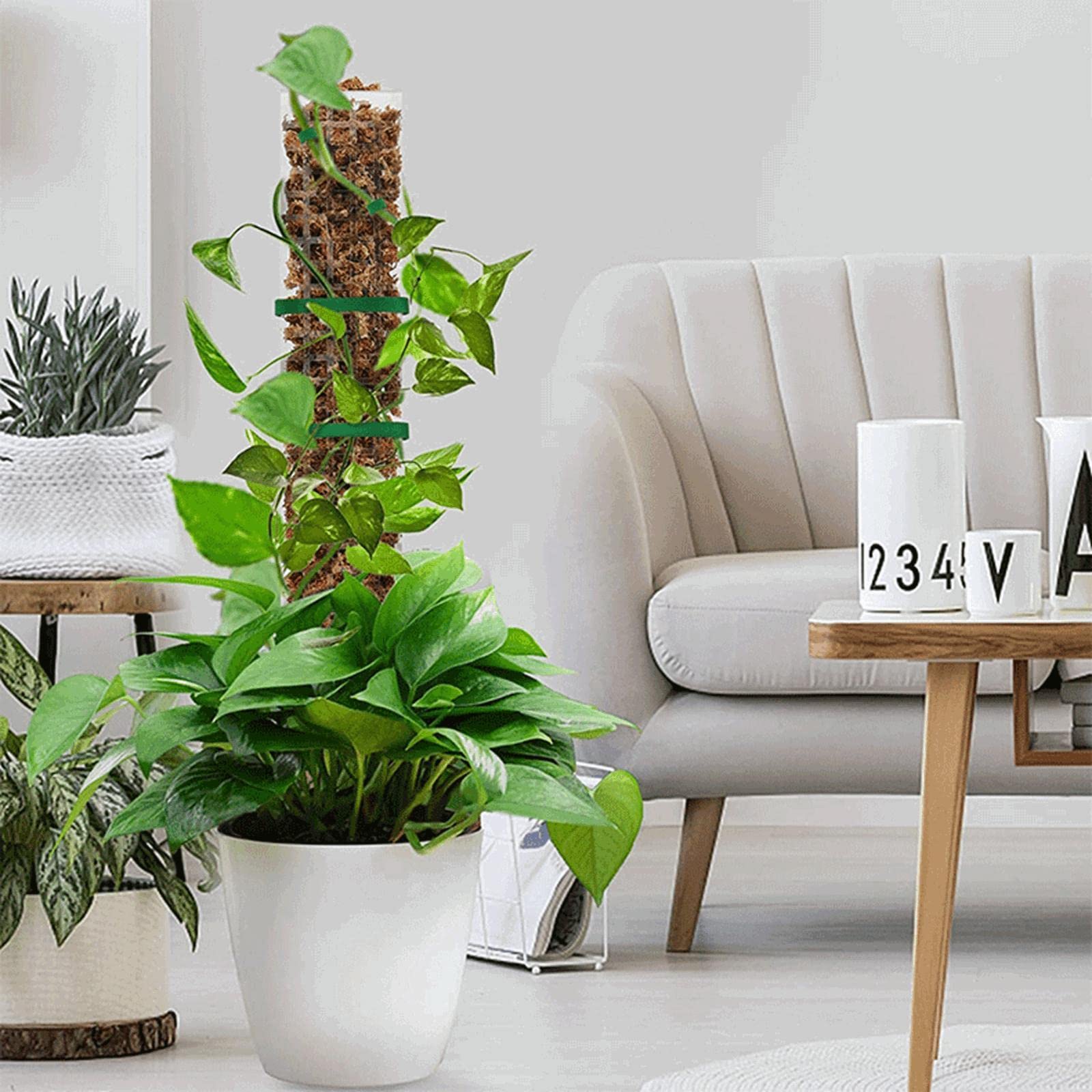 KESOTO Lot de 6 Tuteurs pour Plantes, Supports Empilables pour Plantes en Pot (Monstera) et Balcon.
