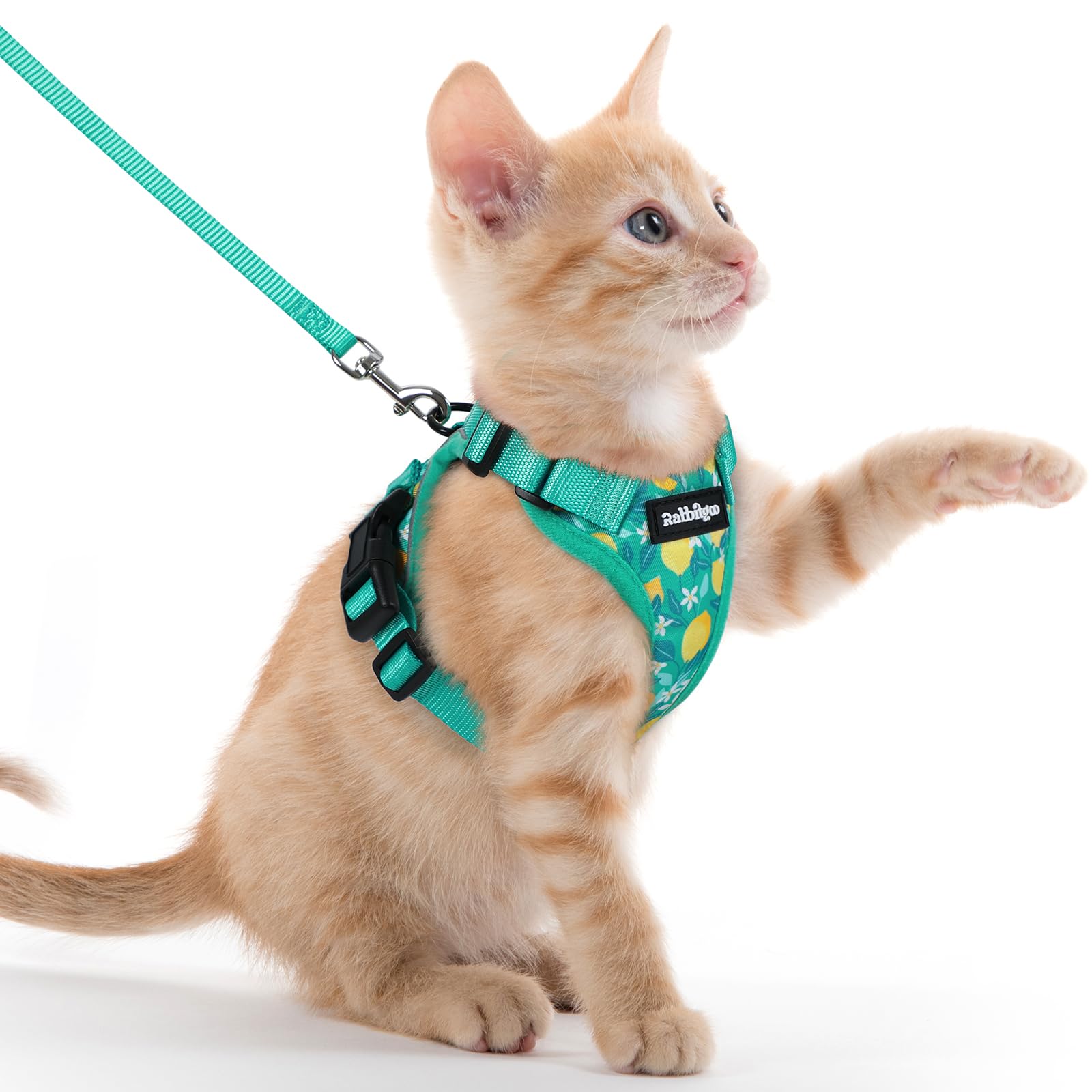 rabbitgoo Cat Harness and Leash Set, Escape Proof Vest, Lemon Grove
