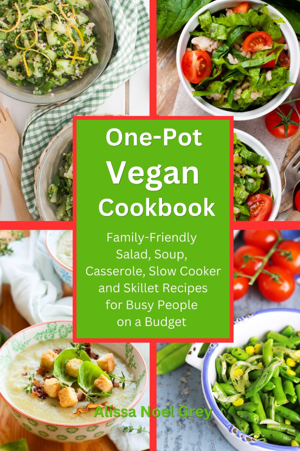 One-Pot Vegan Cookbook: Family-Friendly Salad, Soup,... - Grey, Alissa Noel
