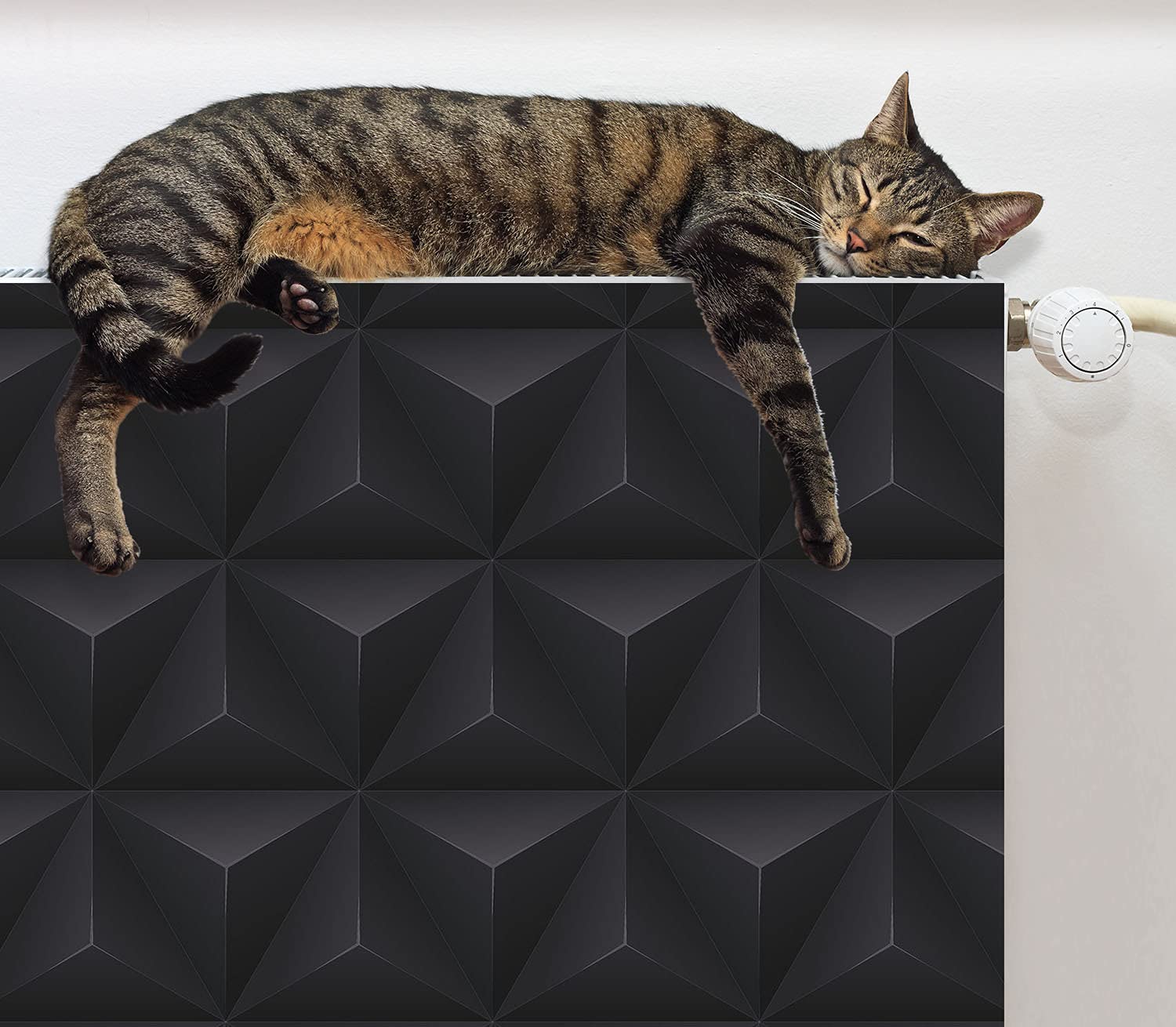 TMK ArtDeko Heizkörperverkleidung mit Magnet Stilvolle Material 60x60 Heizkörperabdeckung, Schwarz