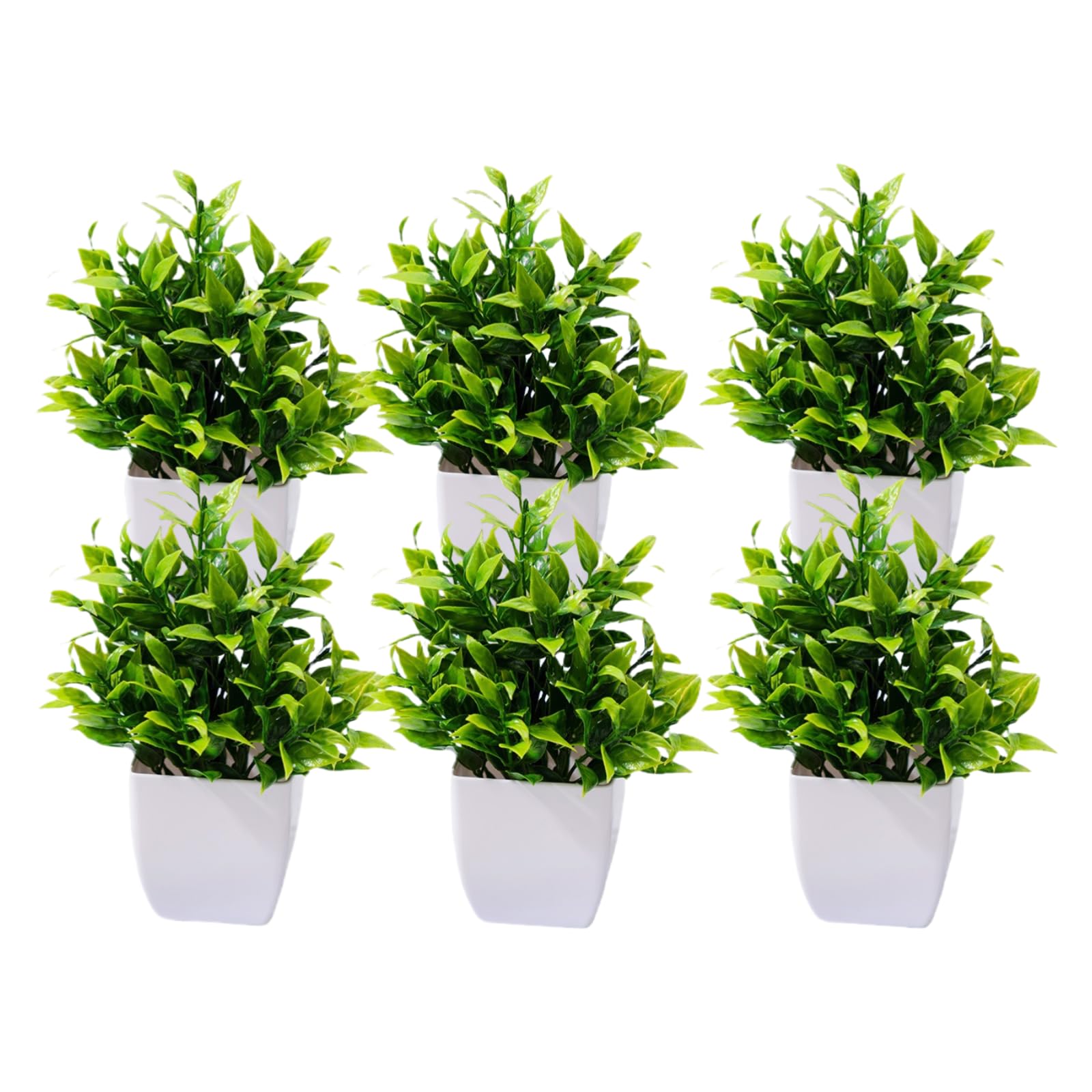 Plantes d'intérieur de prestige : pack de 6 mini compositions végétales réalistes