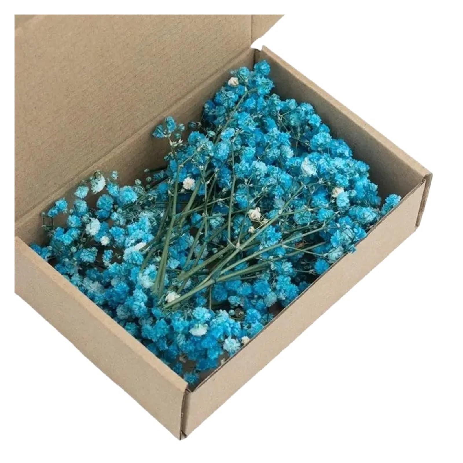 WJIAYAO dried gypsophila flowers Pack of 100 Preserved White Gypsophila Dried Flower for Home Decoration Floral Arrangements And Craft Projects(Color7)