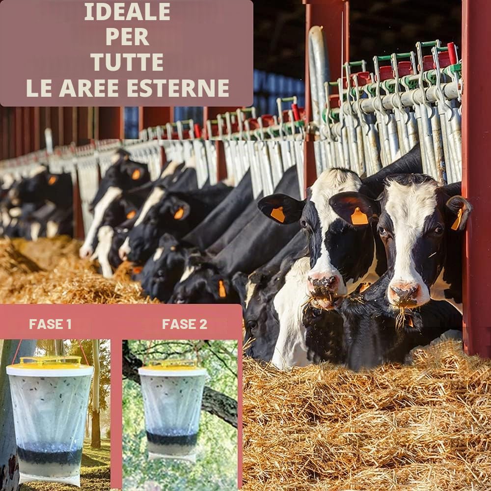 Trappola per mosche trappola per mosche usa e getta (8 confezioni)