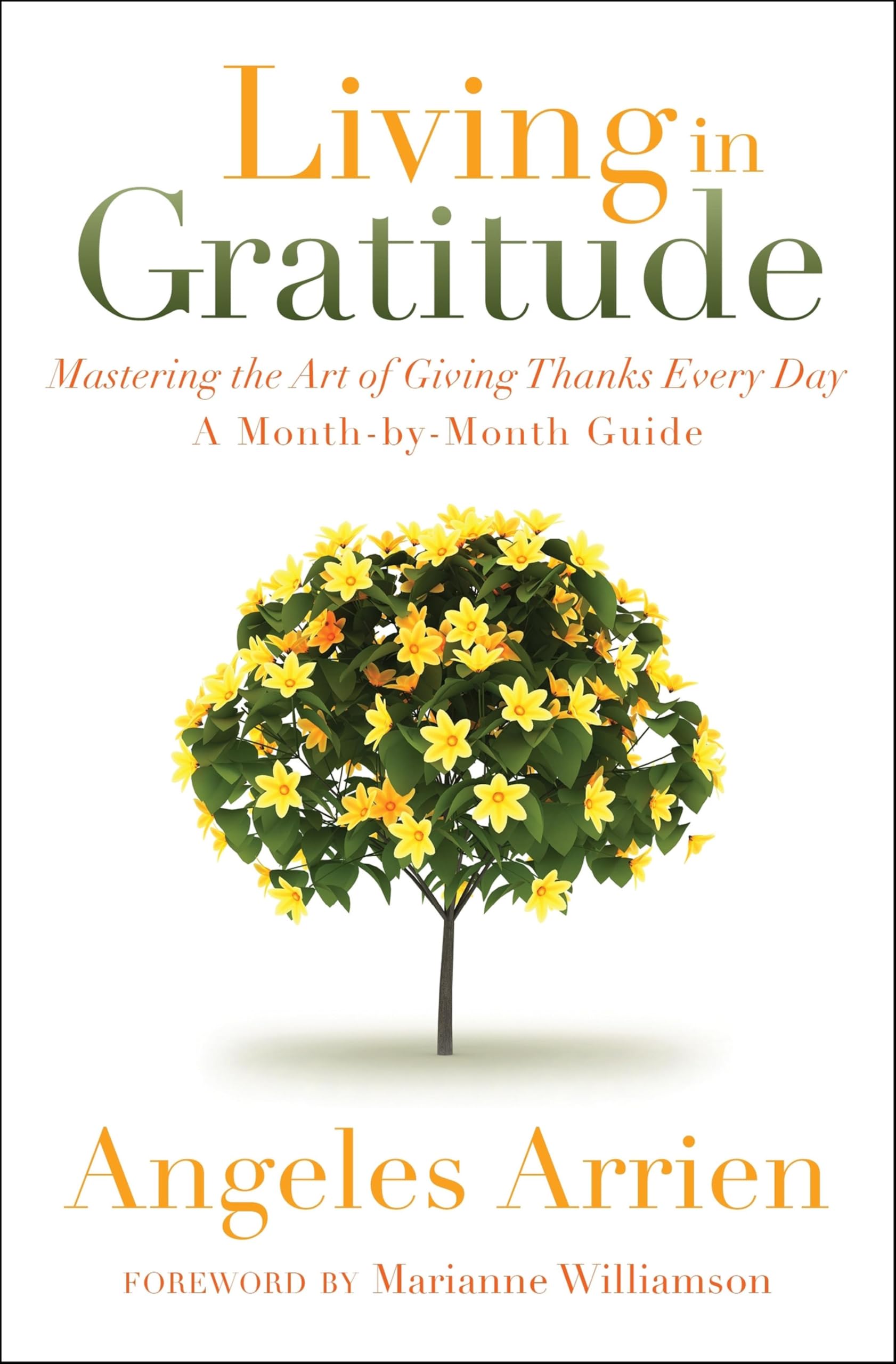 Living in Gratitude: Mastering the Art of Giving Thanks Every Day, A Month-by-Month Guide