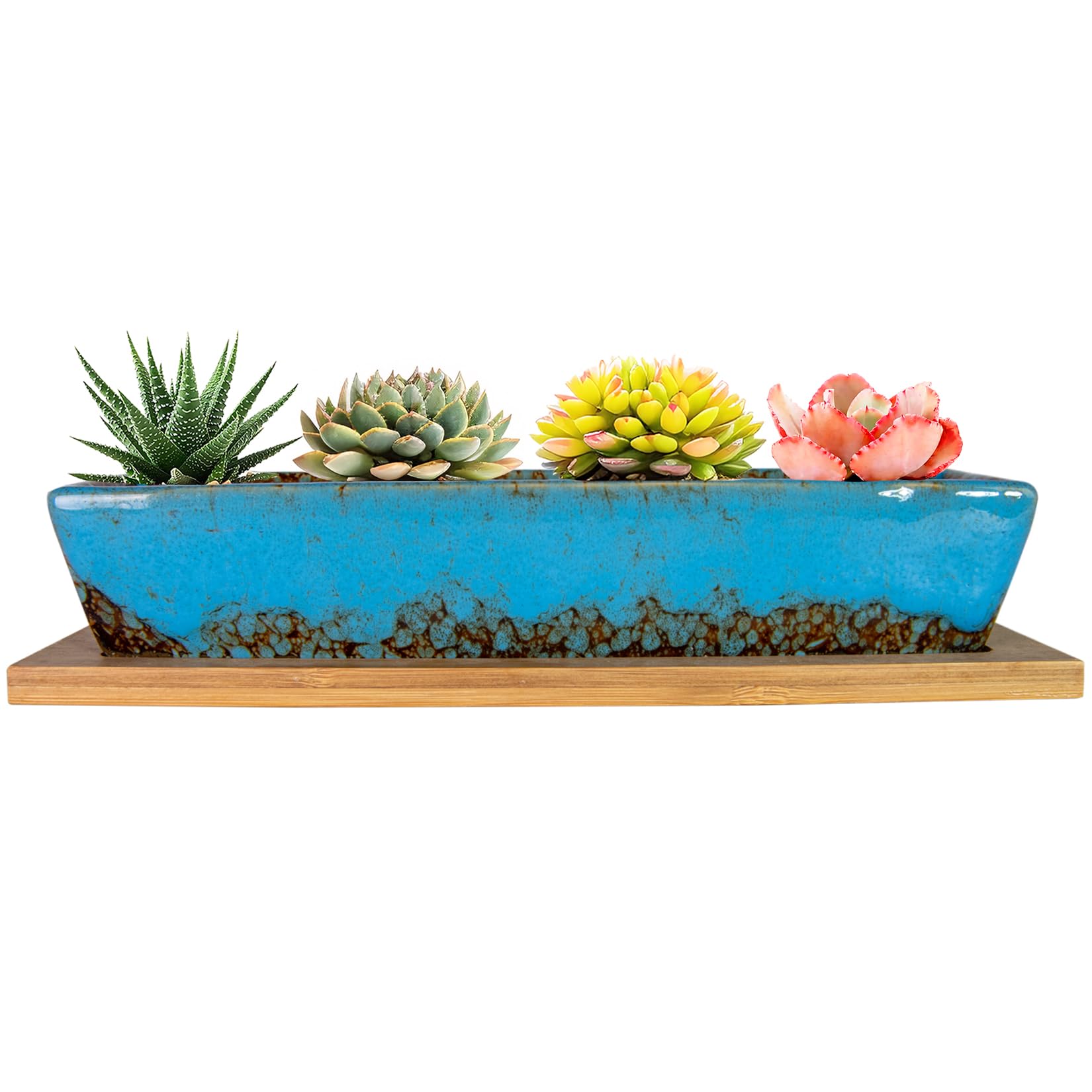 ARTKETTY Succulent Pots, 9.8 Inch Ceramic Succulent Planters with Drainage Small Bonsai Pot with Bamboo Tray, Mini Cactus Flower Planter Pot Shallow