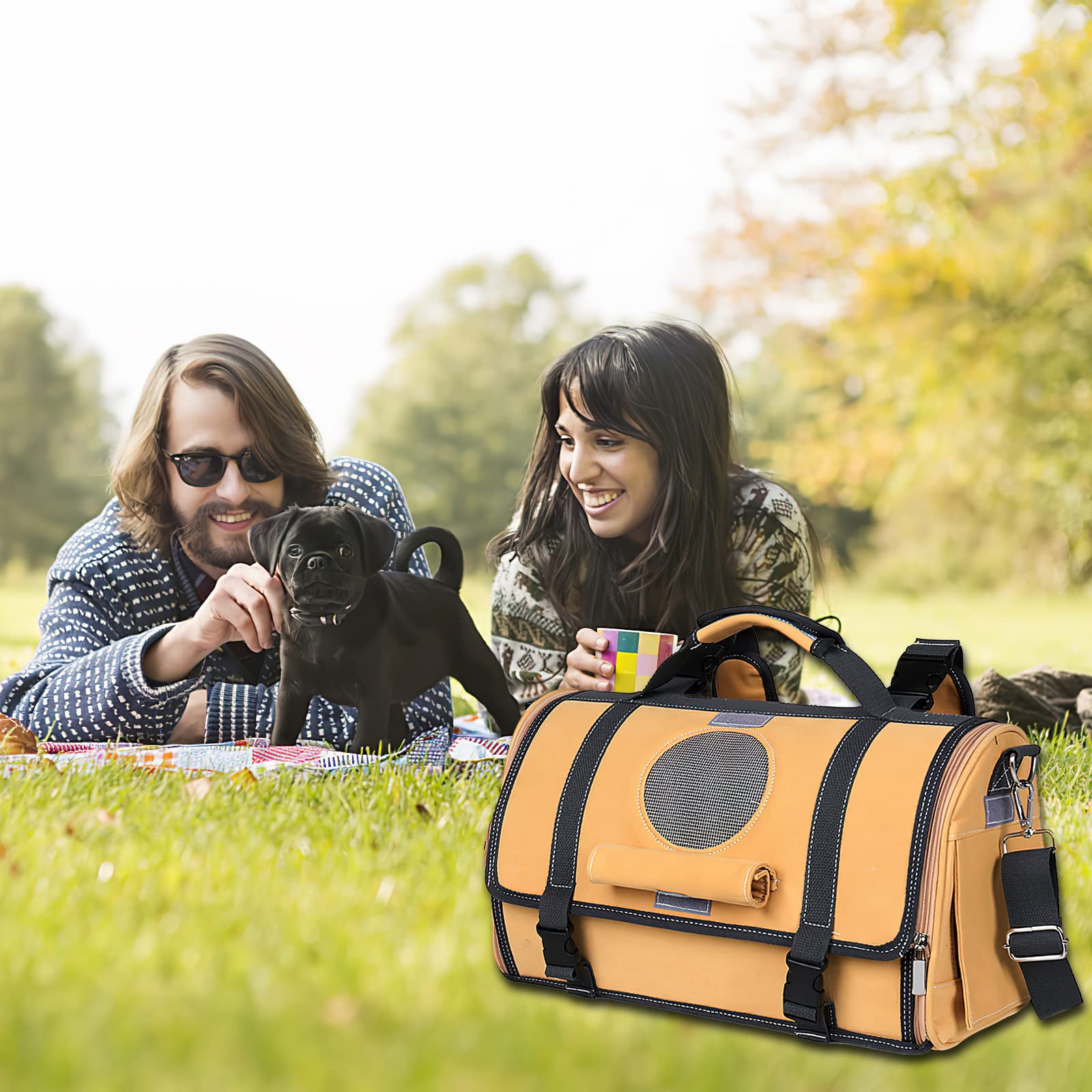 Galatée Zaino Per Gatti, Zaino Per Animali Domestici Con Design Ventilato, Zaino Da Viaggio Per Animali Domestici, Borsa Per Cuccioli Ideale Per l'Escursionismo Viaggiare All'Aperto(M, Giallo)