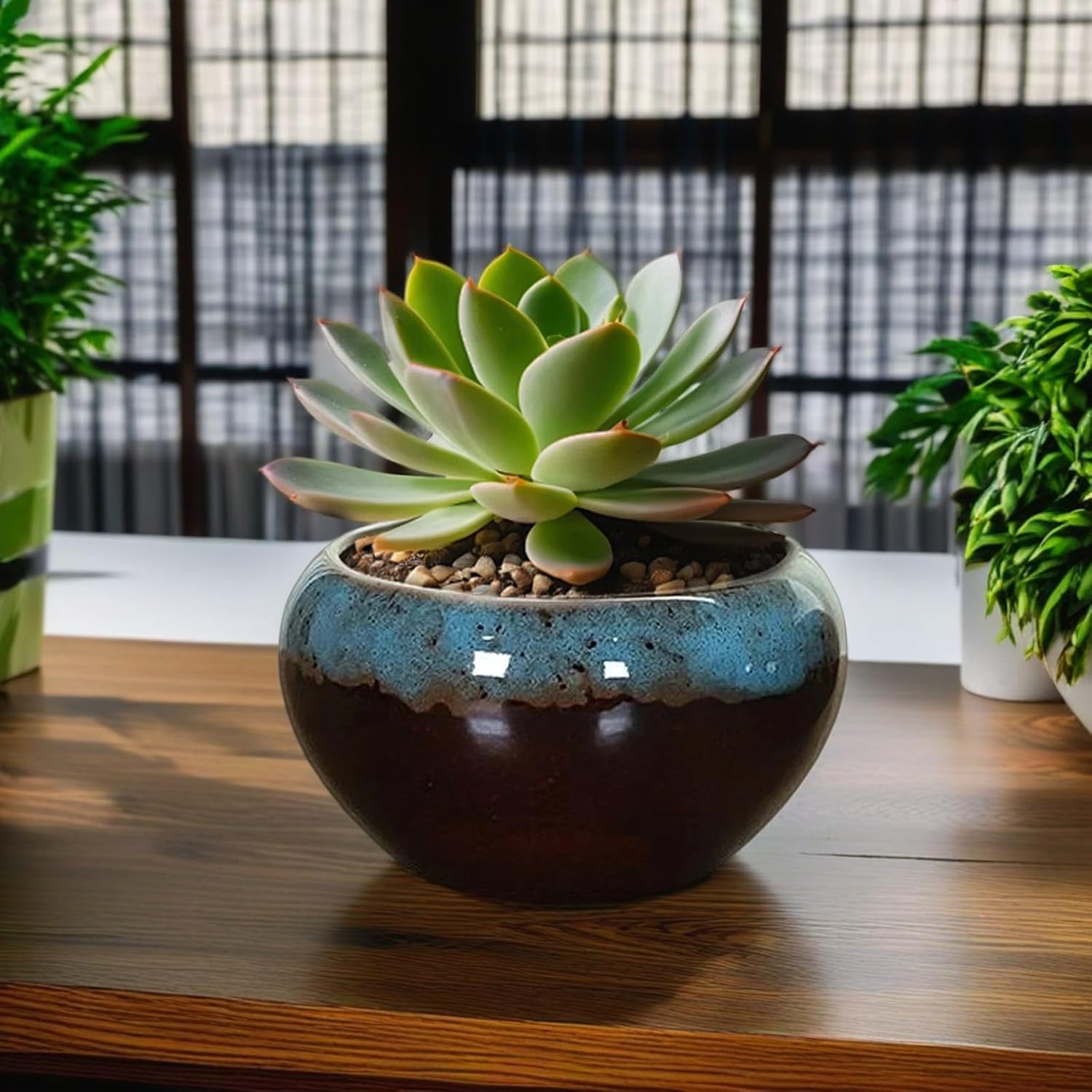 Lotus Bowl Planter, Lotus Bowls for Planting in Water Indoors, Bonsai Bowl Lotus Flower Seeds, Ceramic Planters for Indoor Plants, for Succulent Plants Leak-Proof Design (A*1)
