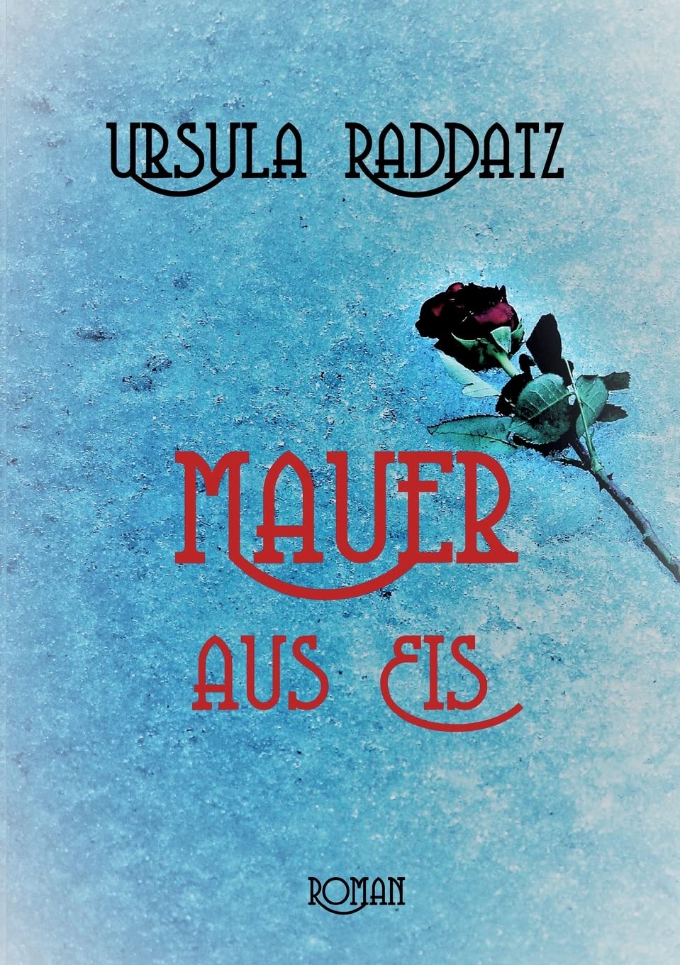 Mauer aus Eis: Roman einer Demenz