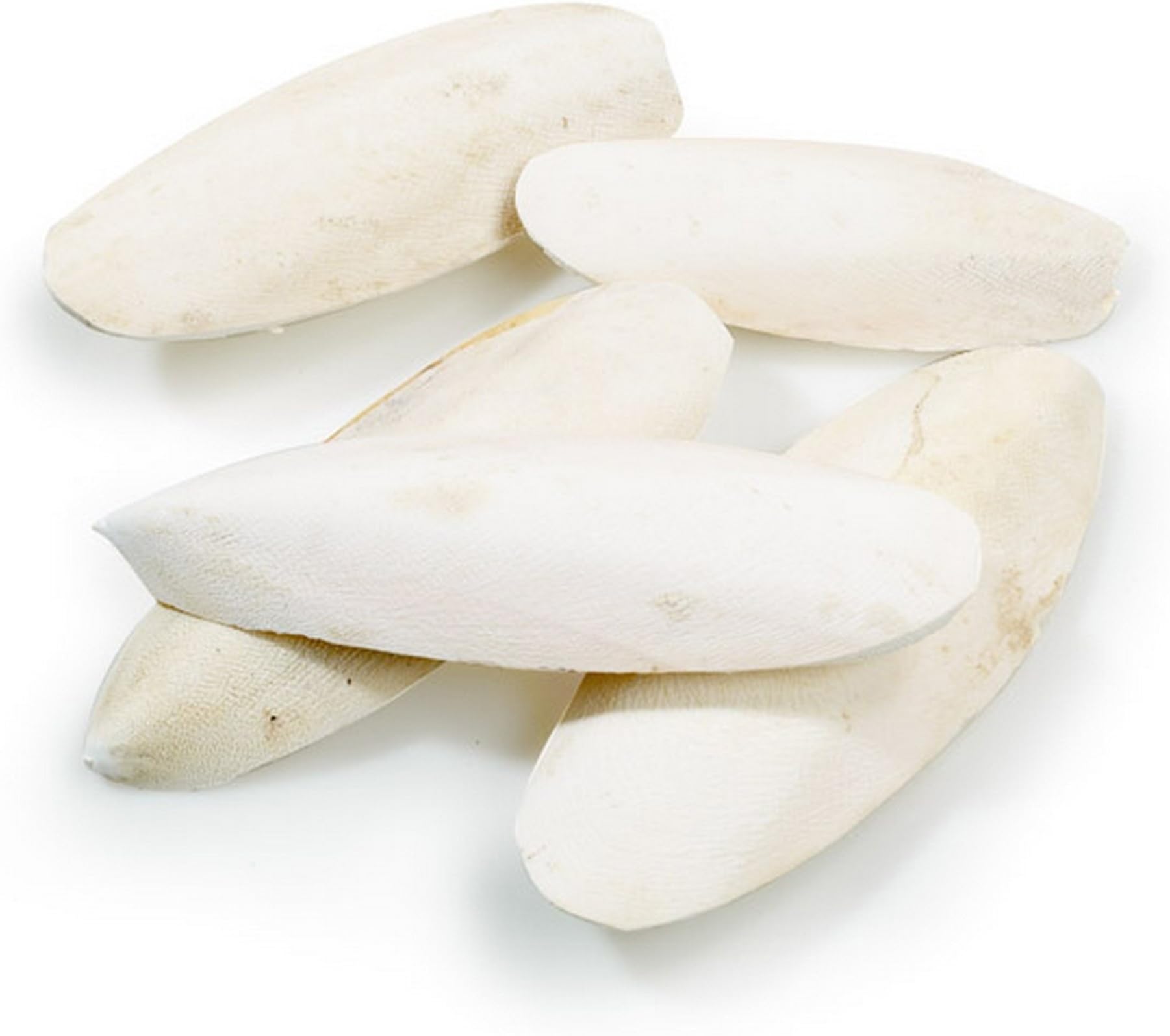 Other Classic Cuttlebones Bulk Pack 5lb(2.27kg)