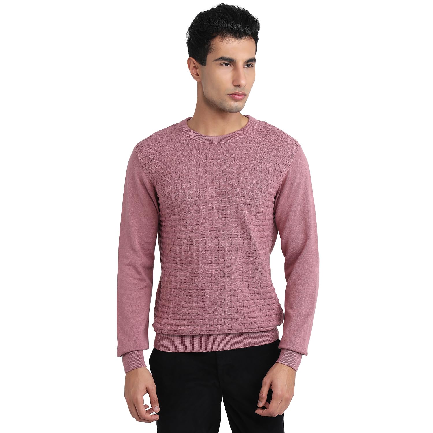 colorplus Men Regular Fit Jacquard Pattern Pure Cotton Full Sleeve Round Neck Casual Sweater-picture-23