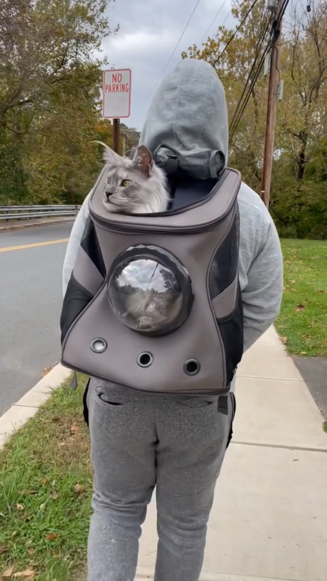 LOLLIMEOW Large Pet Carrier Backpack, Bubble Backpack