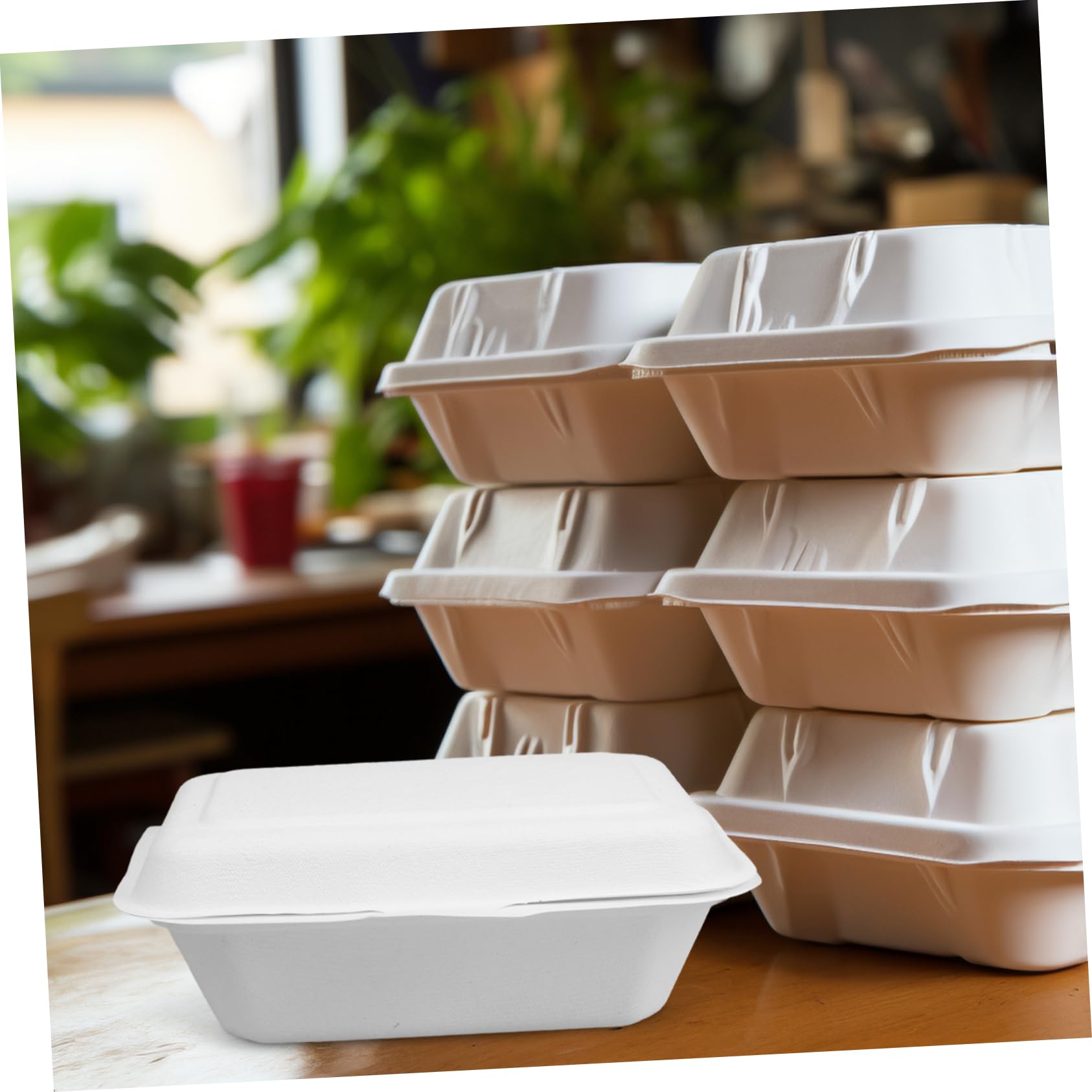 Scatole da Asporto Alimentare Usa e Getta Carta 600ml 50 Pezzi