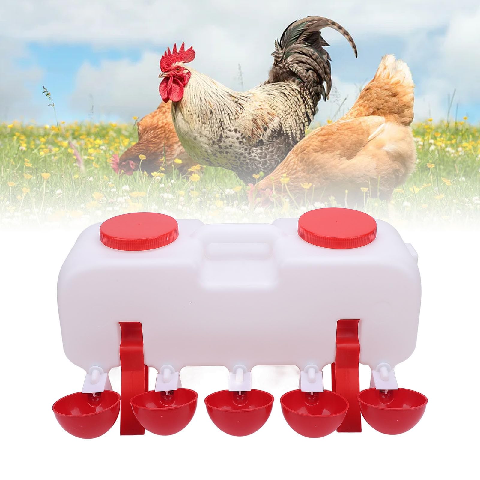 Abbeveratoio Automatico per Polli, Dispenser per Uccelli, Grande