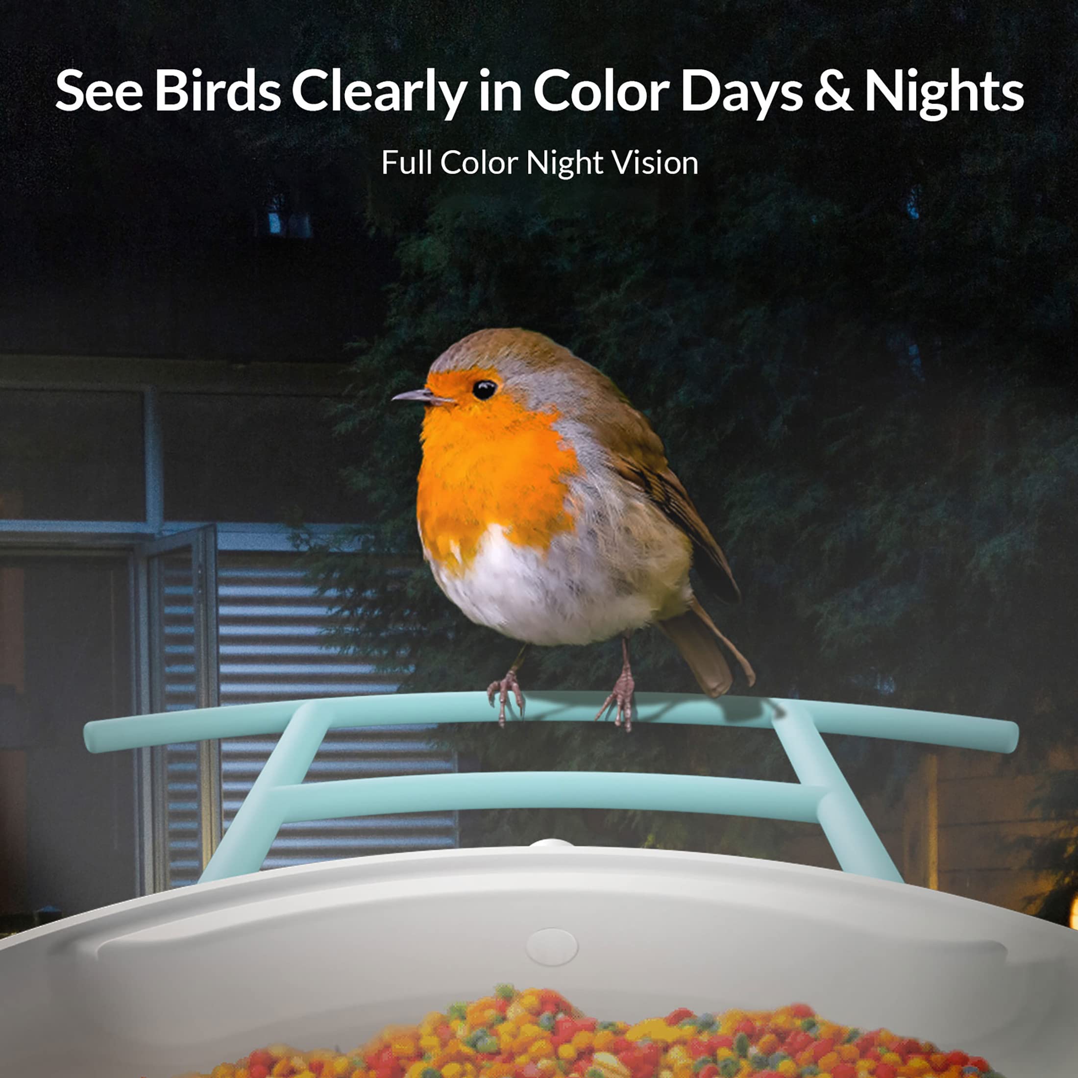 NETVUE Birdfy - Comedero Inteligente para Pájaros con Cámara y Panel Solar, Reconocimiento AI de Especies de Aves, Exterior con Potente Base de Datos de Aves