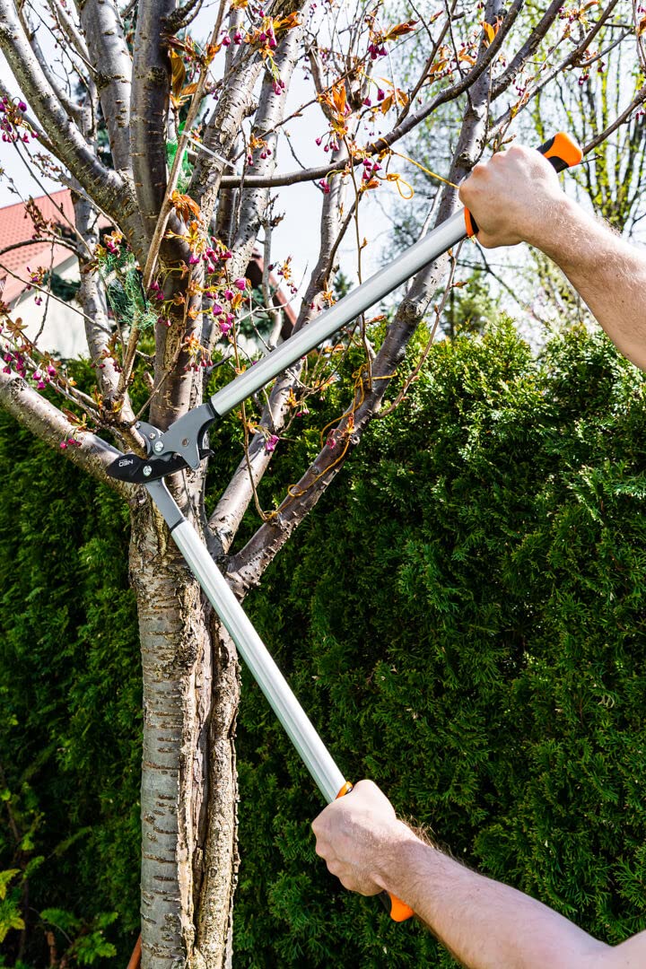 Coupe-branches à enclume, diamètre de coupe max 40 mm, lames avec revêtement anti-adhésif, poignées en aluminium, poignées antidérapantes en deux matériaux, lame enclume pour bois dur et sec